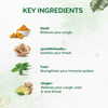Dr. Vaidya's Kadha Fizz -20 Tablets