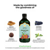 Kerala Ayurveda Abhayarishtam 450 Ml