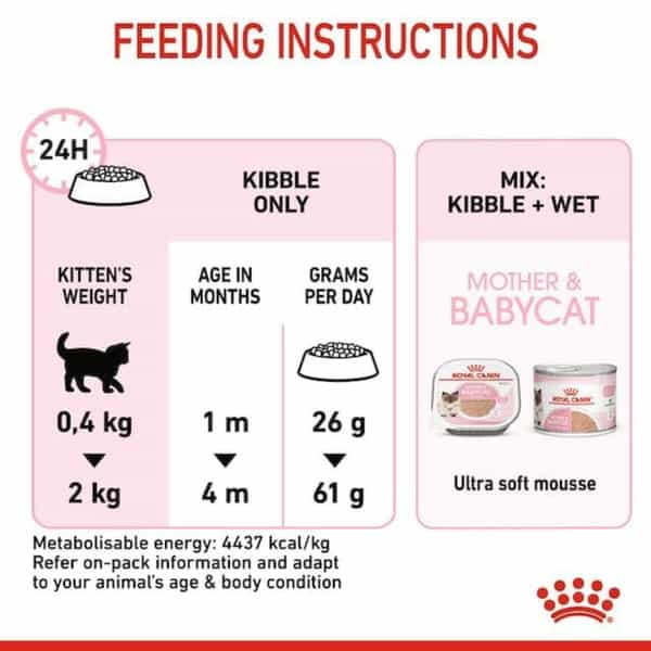Royal Canin Mother & Babycat Food For Stage 2 Kittens | 2 Kg | Dry Food