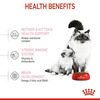 Royal Canin Mother & Babycat Food For Stage 2 Kittens | 2 Kg | Dry Food