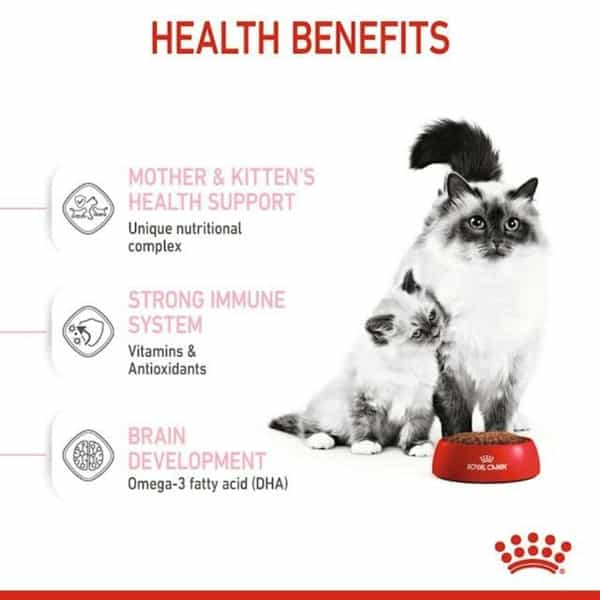 Royal Canin Mother & Babycat Food For Stage 2 Kittens | 2 Kg | Dry Food