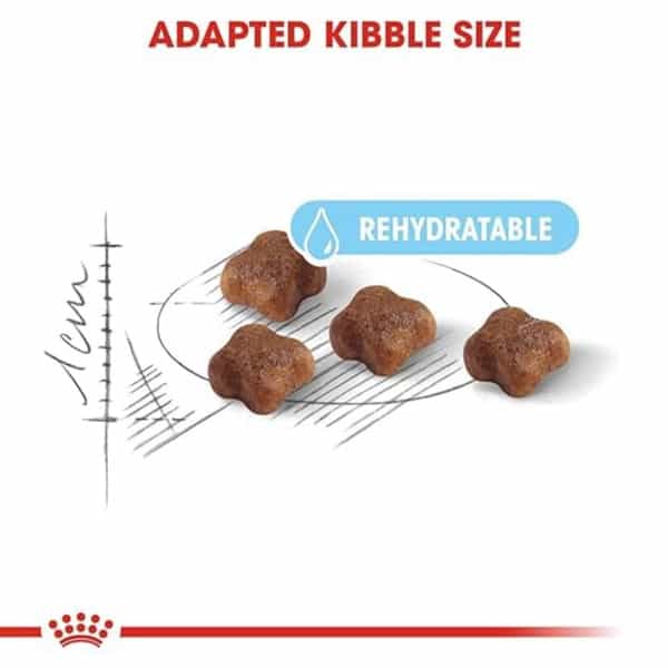 Royal Canin Mother & Babycat Food For Stage 2 Kittens | 2 Kg | Dry Food