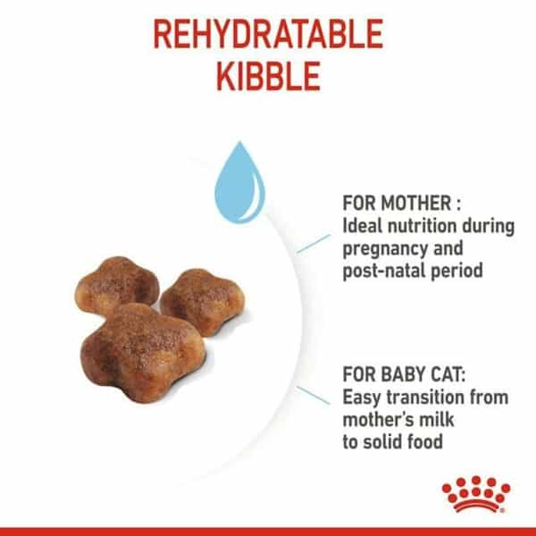 Royal Canin Mother & Babycat Food For Stage 2 Kittens | 2 Kg | Dry Food