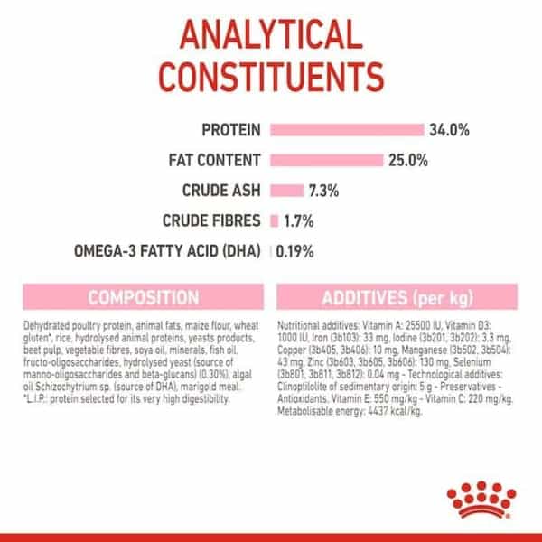 Royal Canin Mother & Babycat Food For Stage 2 Kittens | 2 Kg | Dry Food