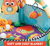 R For Rabbit First Play Turtle Play Gym