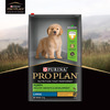 Purina Pro Plan Puppy Food For Large Sized Dogs-15 Kg | Pebbles