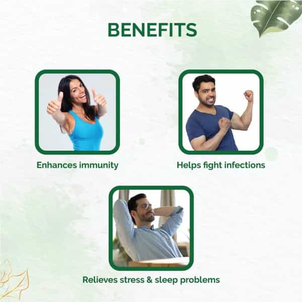 Dr. Vaidya's Ashwagandha -30 Capsules - Pack Of 2