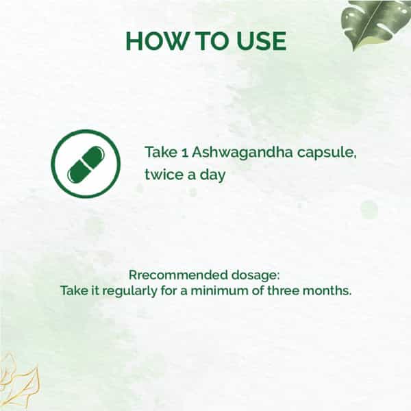 Dr. Vaidya's Ashwagandha -30 Capsules - Pack Of 2