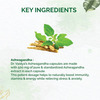 Dr. Vaidya's Ashwagandha -30 Capsules - Pack Of 2
