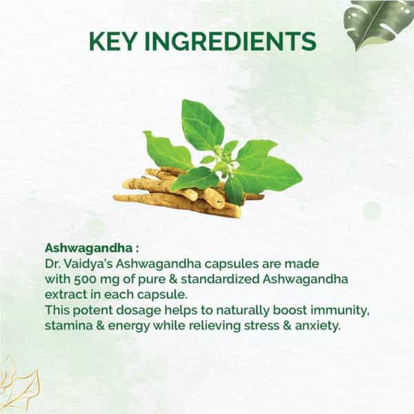 Dr. Vaidya's Ashwagandha -30 Capsules - Pack Of 2