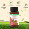 Dr. Vaidya'S Shuddha Ashwagandha Tablet 60s P1