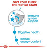 Royal Canin Mini Puppy Food | 12 X 85 Grams | Wet Food | Supports Immune System | Brain Development