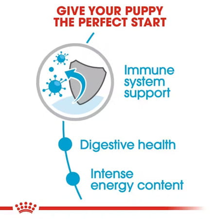 Royal Canin Mini Puppy Food | 12 X 85 Grams | Wet Food | Supports Immune System | Brain Development