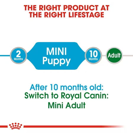 Royal Canin Mini Puppy Food | 12 X 85 Grams | Wet Food | Supports Immune System | Brain Development