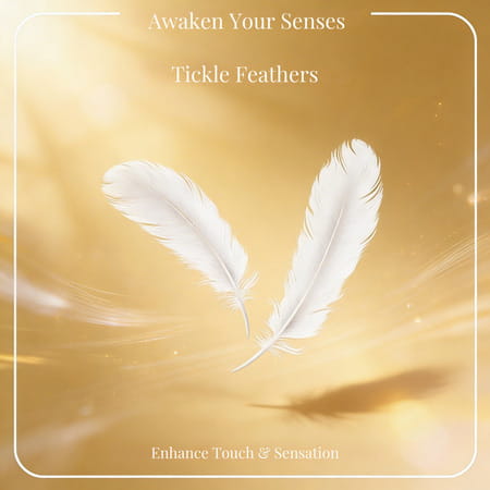 Nooky Connect White- The Complete Experience Box