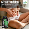 Fitness Veda Liver Health Supplement Capsules With Milk Thistle Extract For Fatty Liver