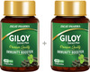 Jagat Pharma Giloy Capsules| Immunity Booster | Helps In Blood Purification -250Mg Pack Of 2