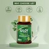 Jagat Pharma Giloy Capsules| Immunity Booster | Helps In Blood Purification -250Mg Pack Of 2