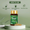 Jagat Pharma Giloy Capsules| Immunity Booster | Helps In Blood Purification -250Mg Pack Of 2