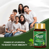 Jagat Pharma Giloy Capsules| Immunity Booster | Helps In Blood Purification -250Mg Pack Of 2