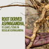 Kapiva Ashwagandha Gold Capsules Helps In Stress Management 100% Ayurvedic - (60 N Caps)