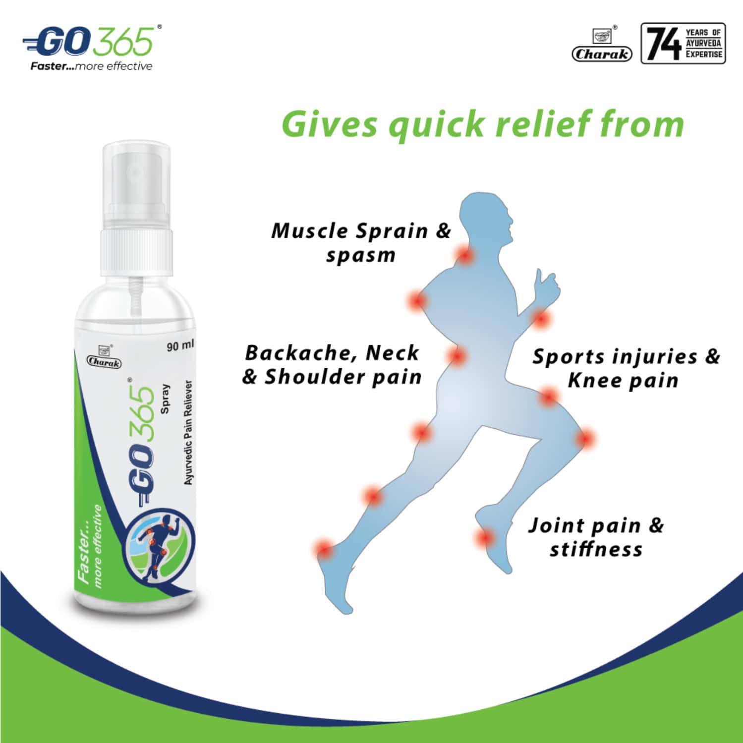 Buy GO365 SPRAY AYURVEDIC PAIN RELIEVER 90ML Online & Get Upto 60