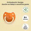R For Rabbit Tusky Pacifier-L Orange
