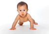 R For Rabbit Tusky Pacifier-L Orange