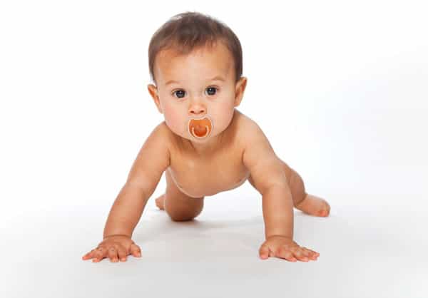 R For Rabbit Tusky Pacifier-L Orange