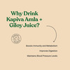 Kapiva Amla + Giloy Juice 1L|Natural Juice Made From Fresh Amlas And Neem-Grown Giloy