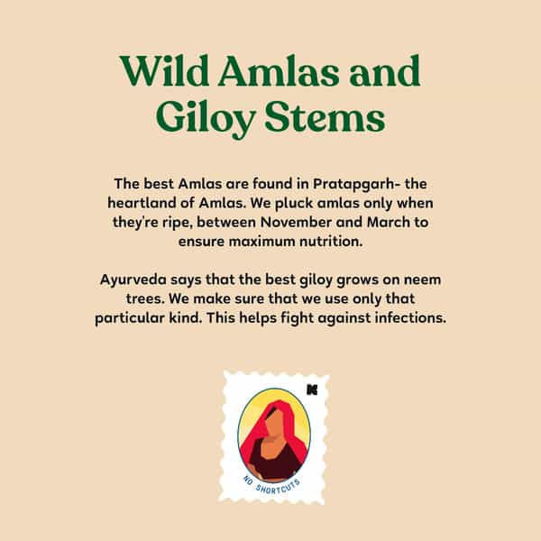 Kapiva Amla + Giloy Juice 1L|Natural Juice Made From Fresh Amlas And Neem-Grown Giloy