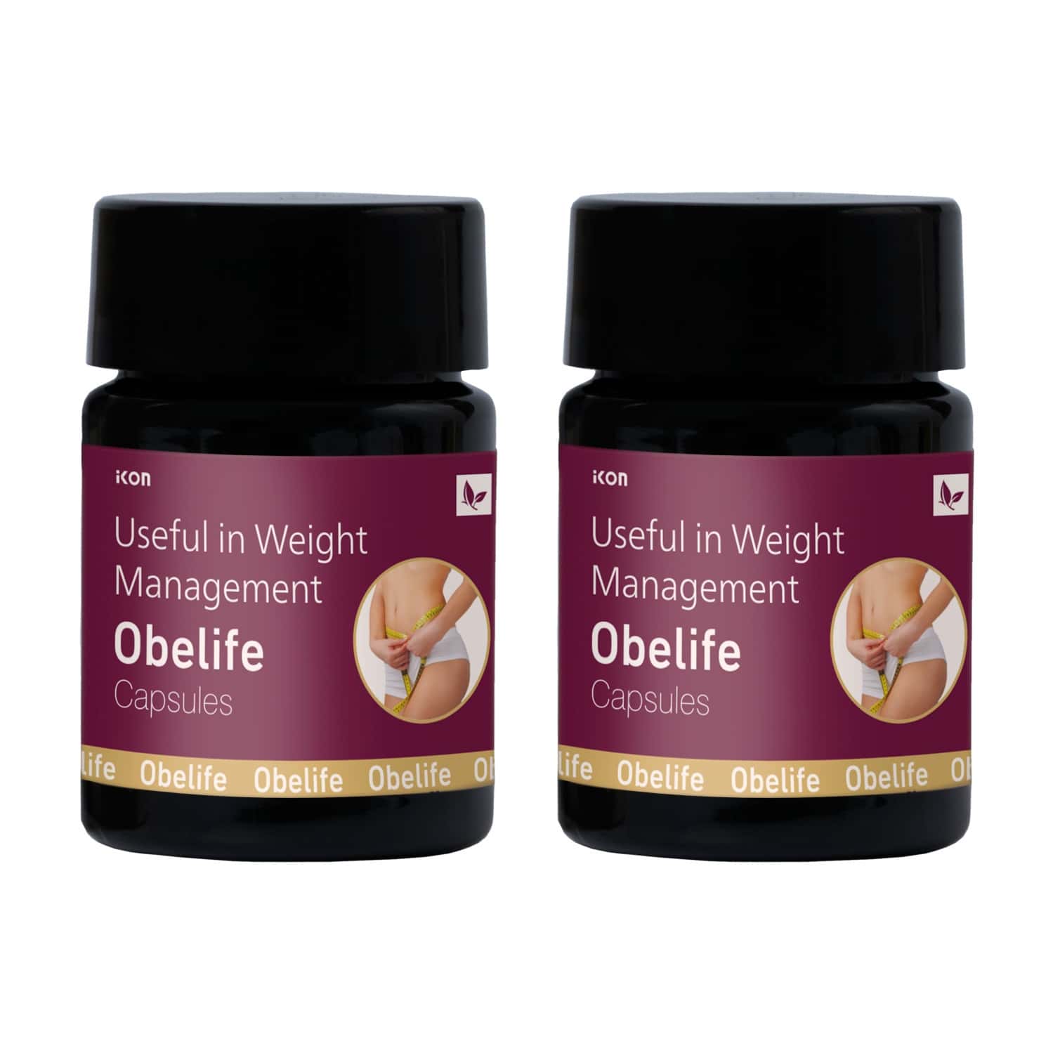 Buy DR. VAIDYA'S WEIGHT GAIN PACKHERBOFIT (30 CAPS X 1) PACHAK CHURNA