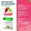 Oziva Plant Based Watermelon Collagen Builder Powder For Youthful & Radiant Skin - 250G