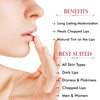 Tac - The Ayurveda Co. Beetroot Lip Butter - 5 Gm