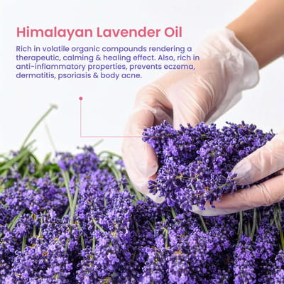 View product image 6