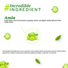 Atulya Amla Organic Powder 100 Gm