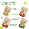 Atulya Amla Organic Powder 100 Gm