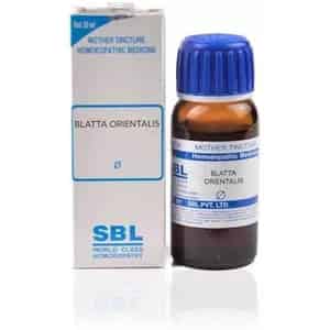 Sbl Blatta Orientalis Mother Tincture Q 30 Ml Pack Of 2