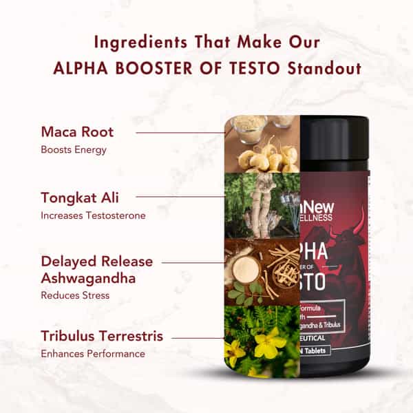 Wishnew Wellness Alpha Booster Of Testo 60 Veg Tablets Testosterone Support Maca, Tribulus Pack Of 2