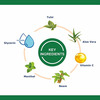Oxyglow Herbals Face Wash Neem Tulsi|Cleanses & Prevents Pimples (100 Gram)