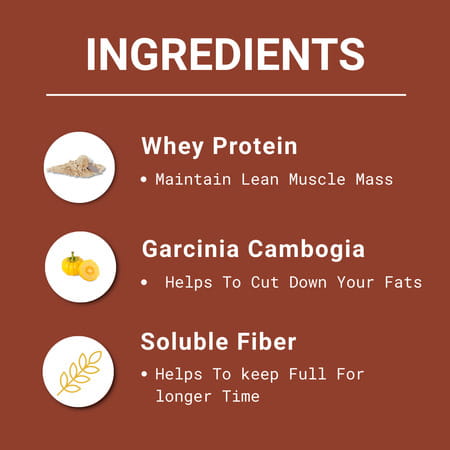 Obesigo | Best Meal Replacement Shake | Weight Loss (350gm | 7 Sachets - Weekly | Chocolate Flavour)