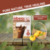 Obesigo | For Weight Management | Chocolate Flavour | Box (350Gm | 7 Sachets )