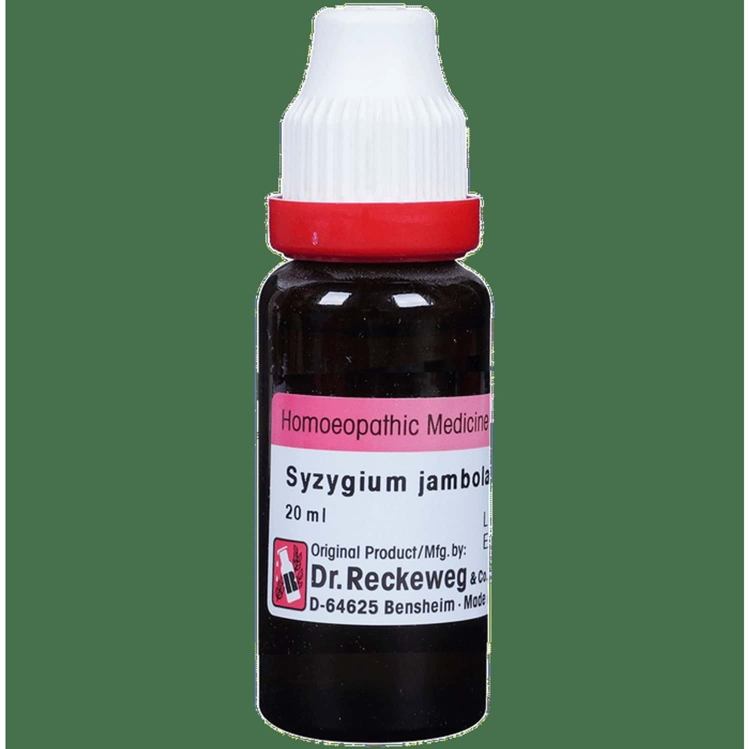 Dr. Reckeweg Syzygium Jamb Mother Tincture Q 20 Ml