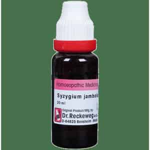 Dr. Reckeweg Syzygium Jamb Mother Tincture Q 20 Ml