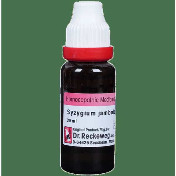 Dr. Reckeweg Syzygium Jamb Mother Tincture Q 20 Ml
