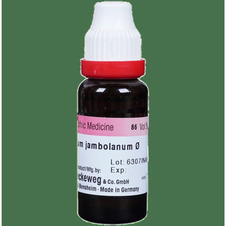 Dr. Reckeweg Syzygium Jamb Mother Tincture Q 20 Ml