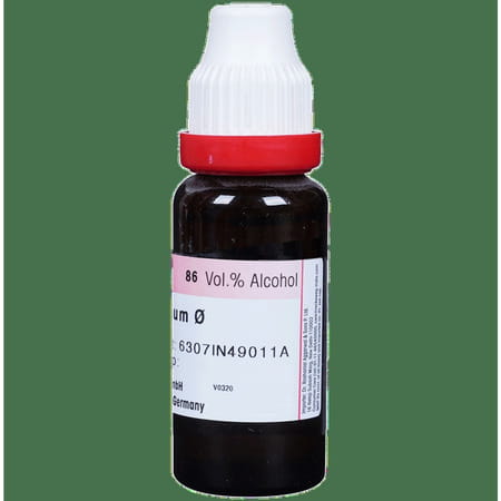 Dr. Reckeweg Syzygium Jamb Mother Tincture Q 20 Ml