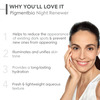 Bioderma Pigmentbio Night Renewer Brightening Overnight Cream For Dark Spots 50Ml