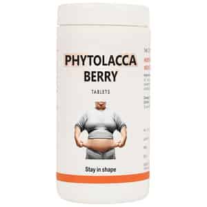 Dr Bakshi's Bakson Homoeopathy Phytolacca Berry Tablet 200