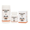 Dr Bakshi's Bakson Homoeopathy Phytolacca Berry Tablet 200